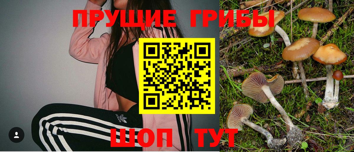 Псилоцибиновые грибы Magic Shrooms  Вход с VPN  что такое   Кемерово 